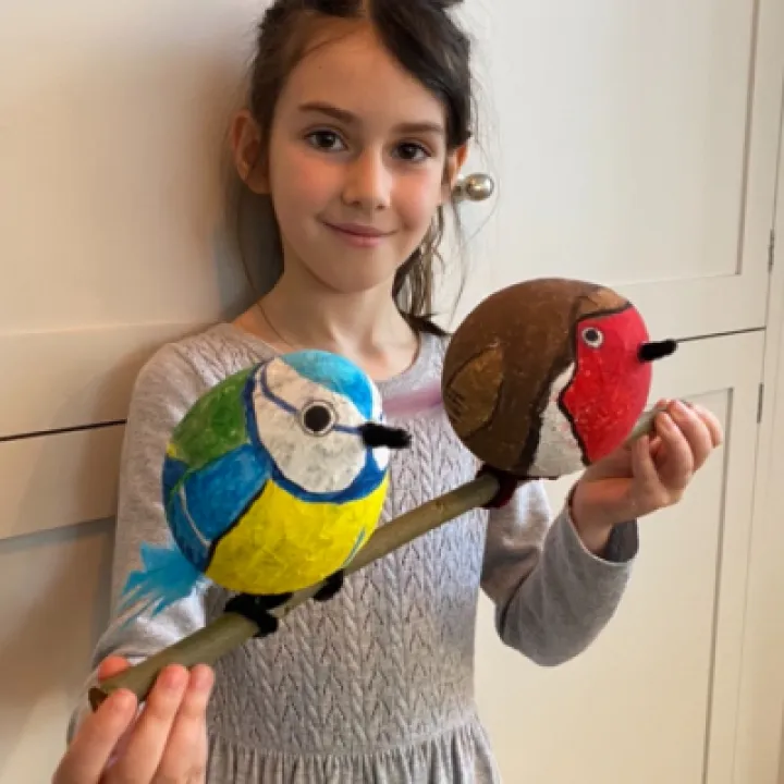 birds