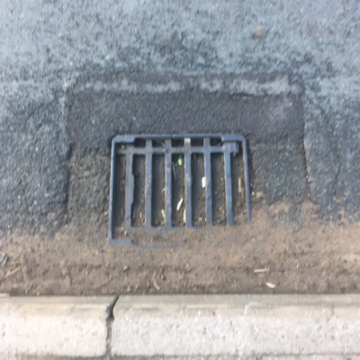 Blocked Gulley