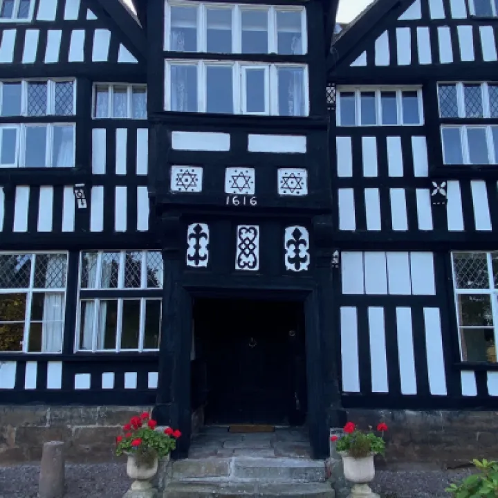 tudor rose 1
