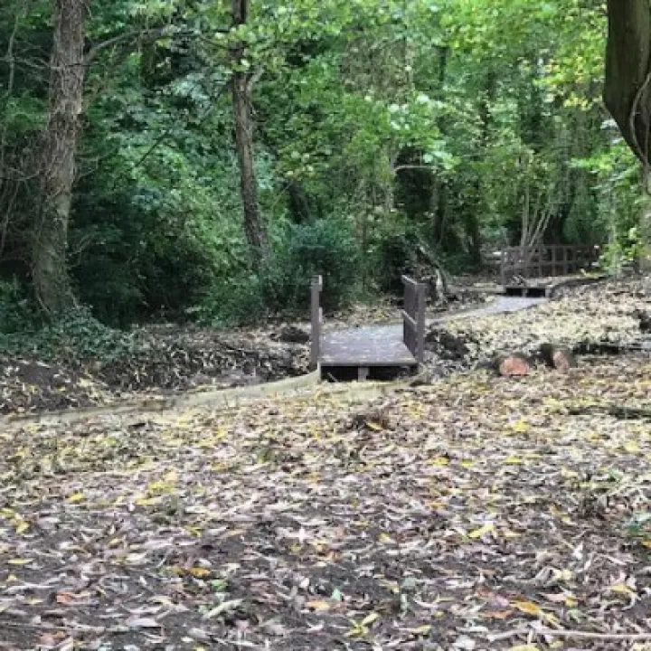 Spinney C