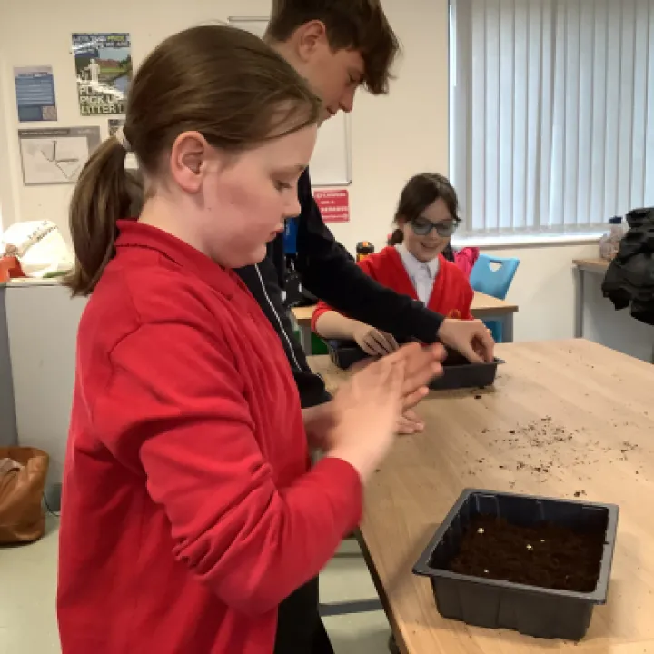 planting 2