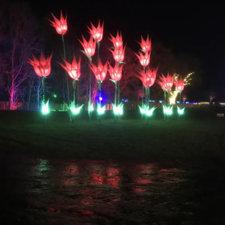 Bolesworth lights GC3