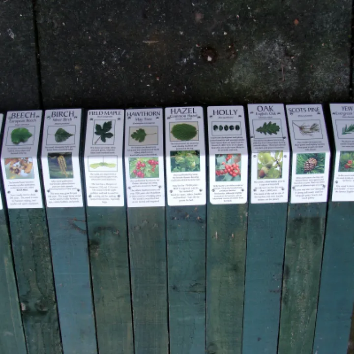 First Ten Identifier Signs