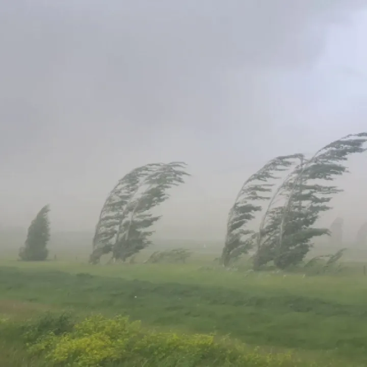 Strong winds