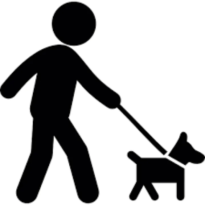 Dog walking icon