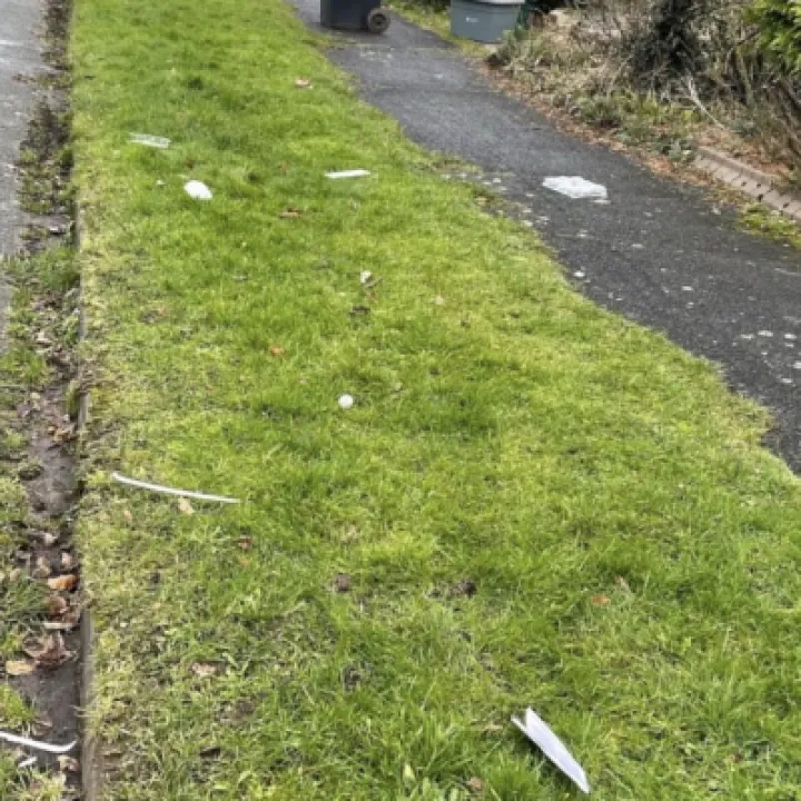 Hallfields road after recycling collection