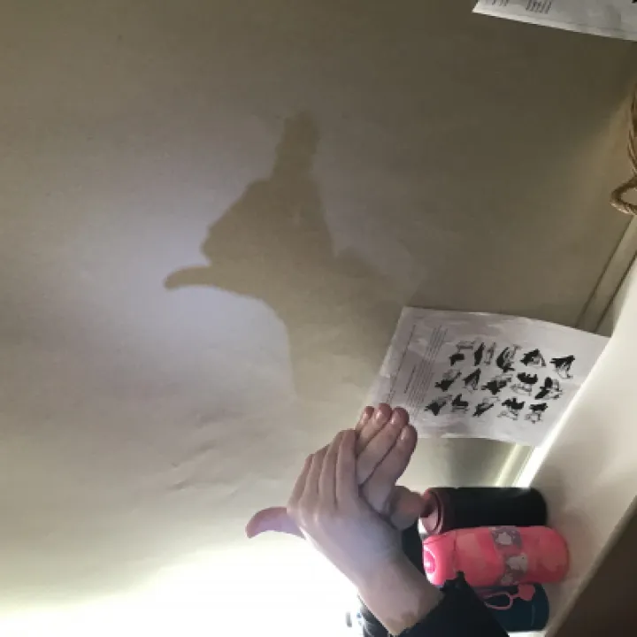 Shadow