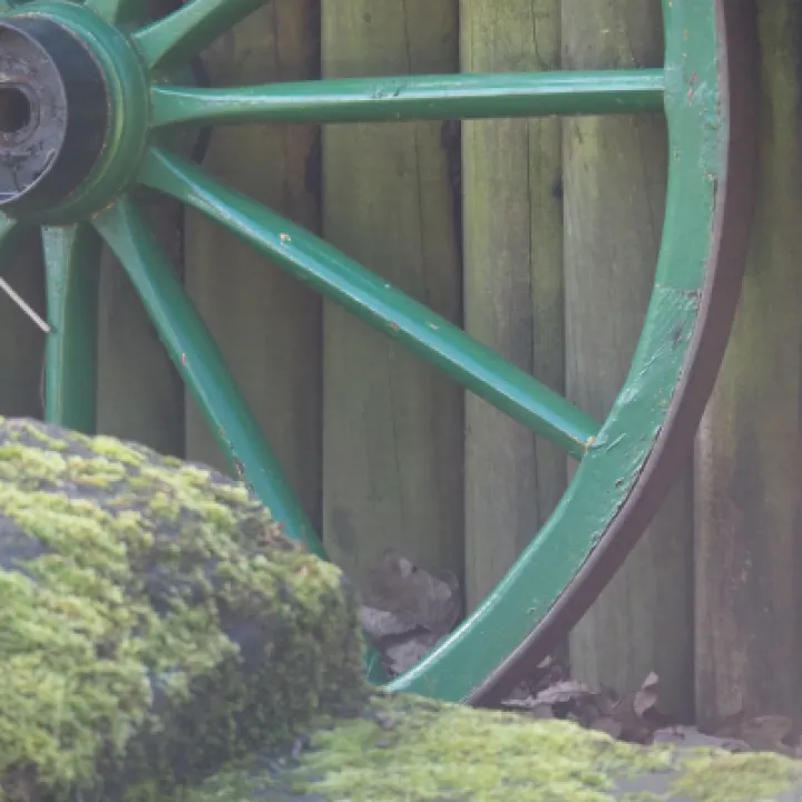 Photocomp10