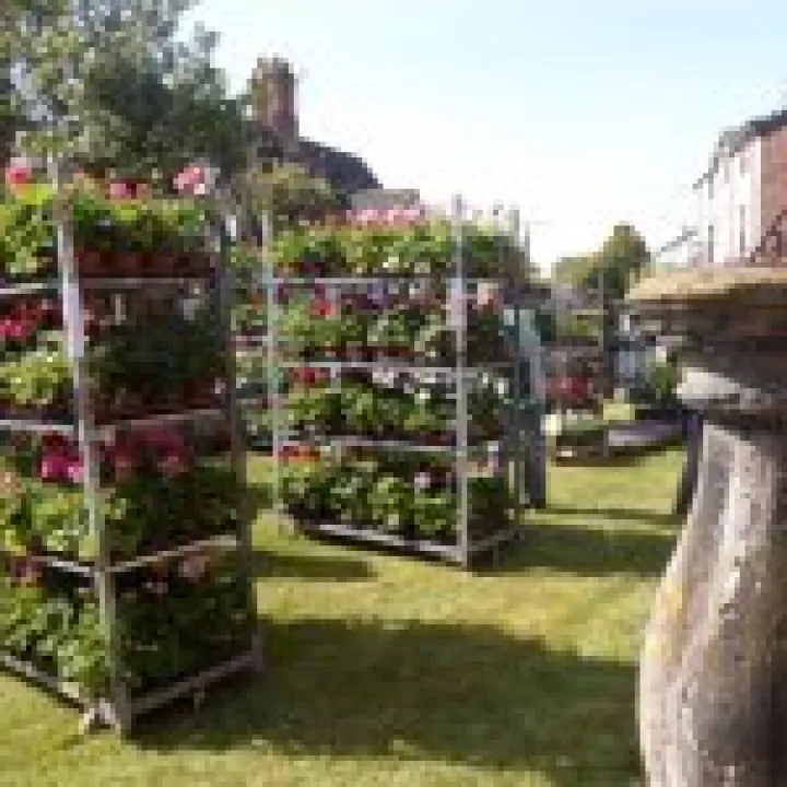 2014 Plant Sale
