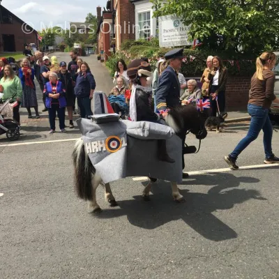 Horse 3
