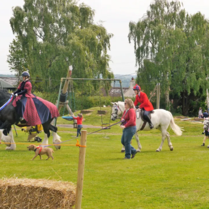 Horses 1