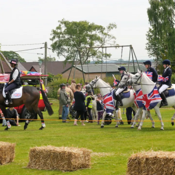Horses 2