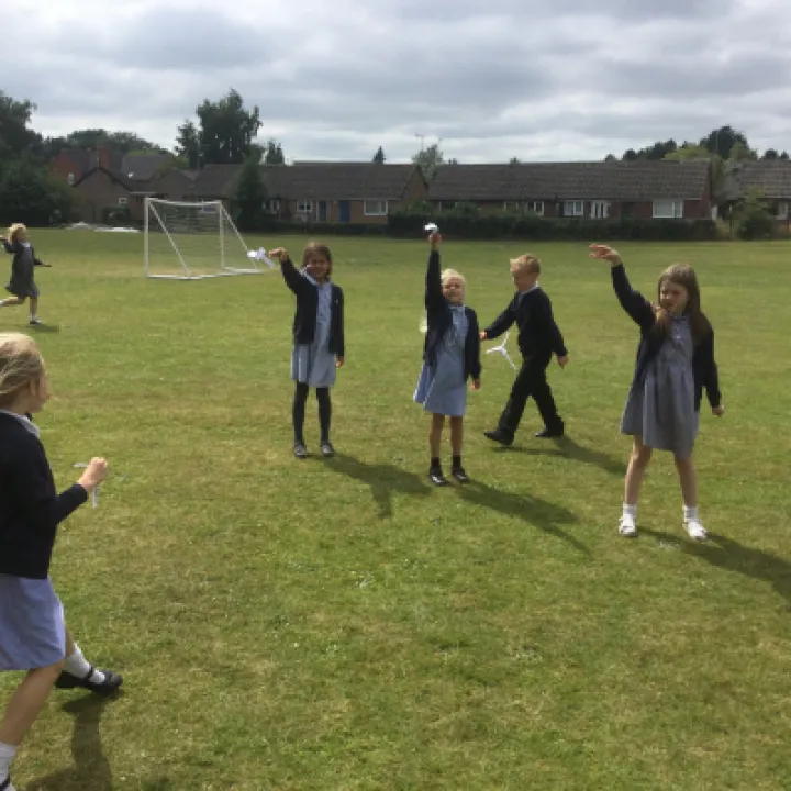 Seed dispersal 3