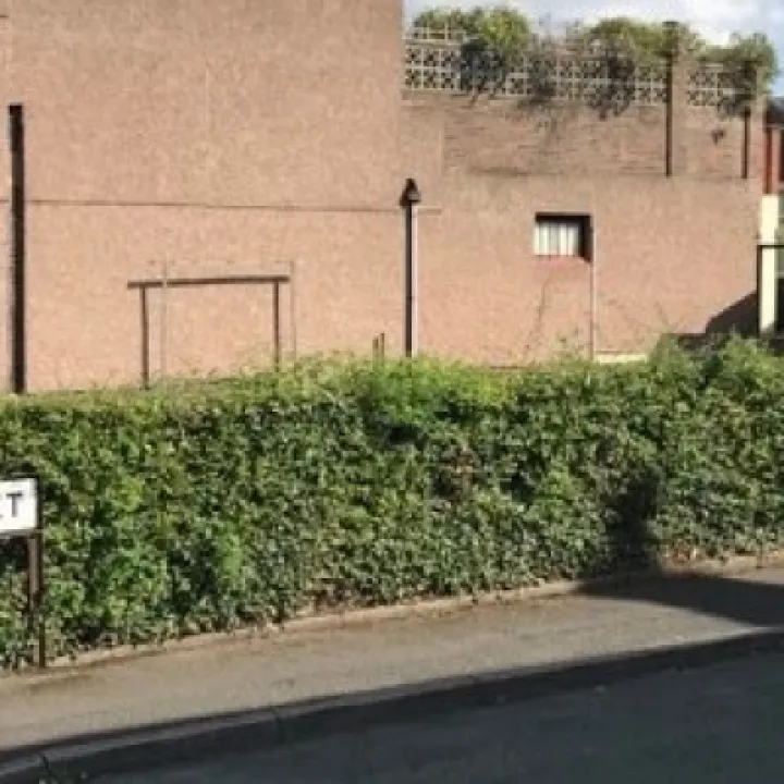 Rear 0722 1