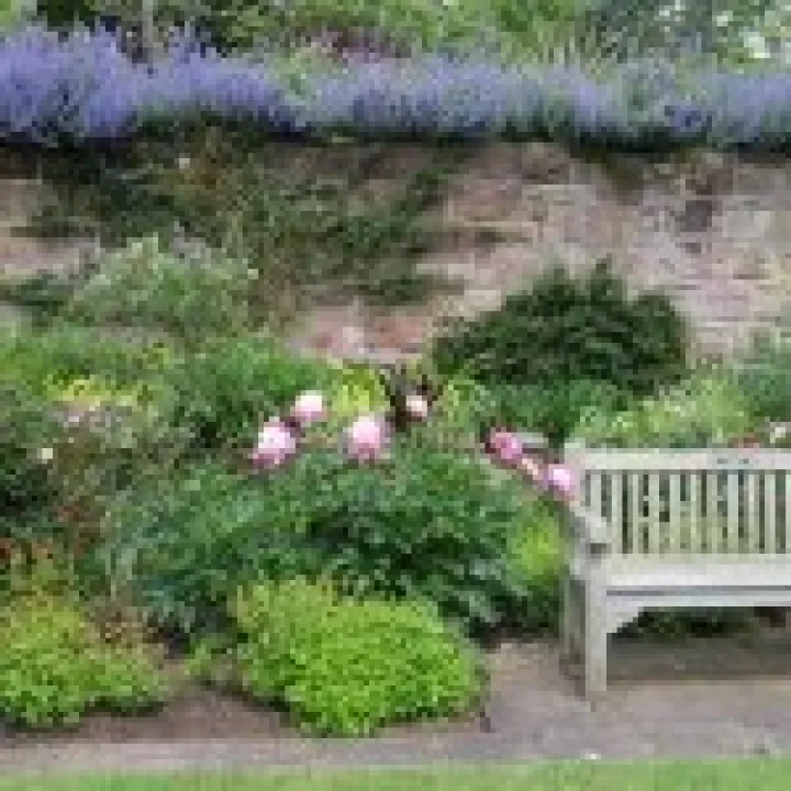 Ness Gardens jpg43