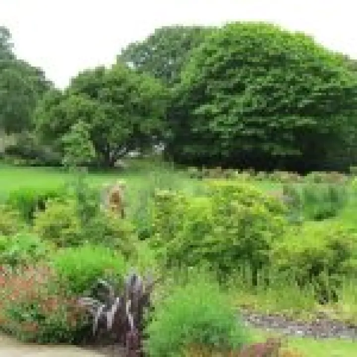 Ness Gardens jpg21