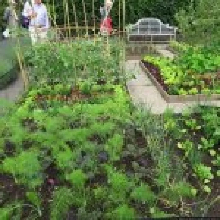Ness Gardens jpg6