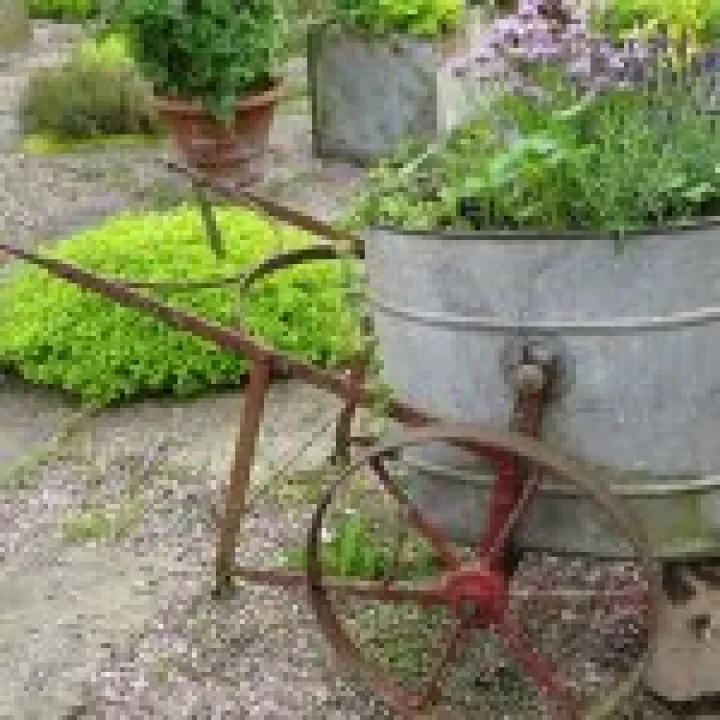 Ness Gardens jpg9
