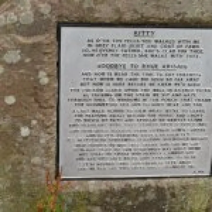 Bickerton Hill Stone