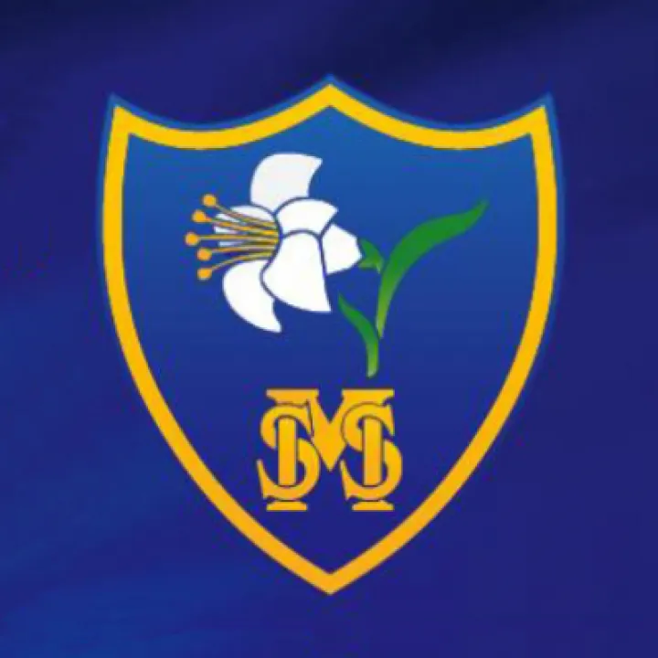 HStM School logo