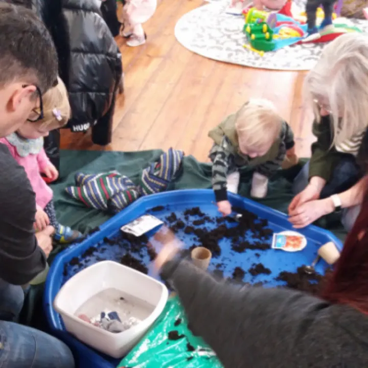 planting seeds