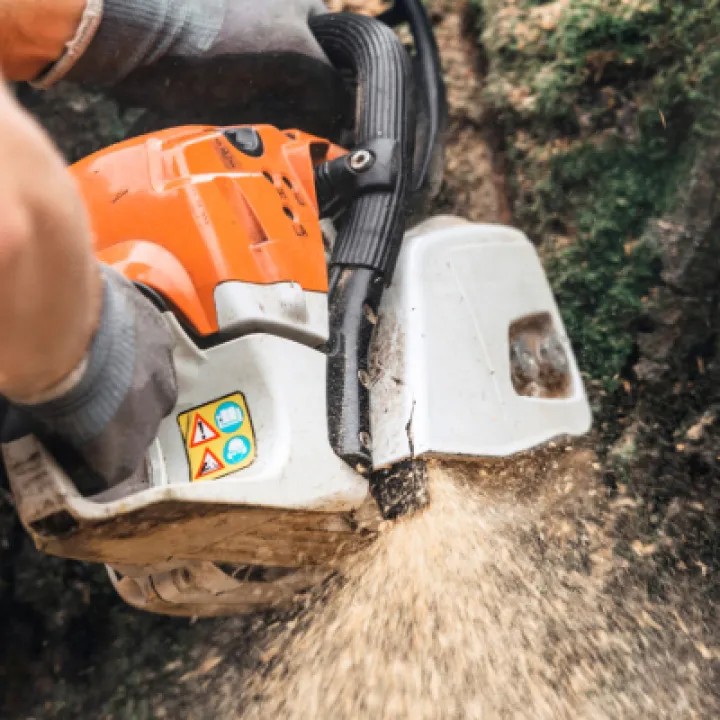 Tree Work