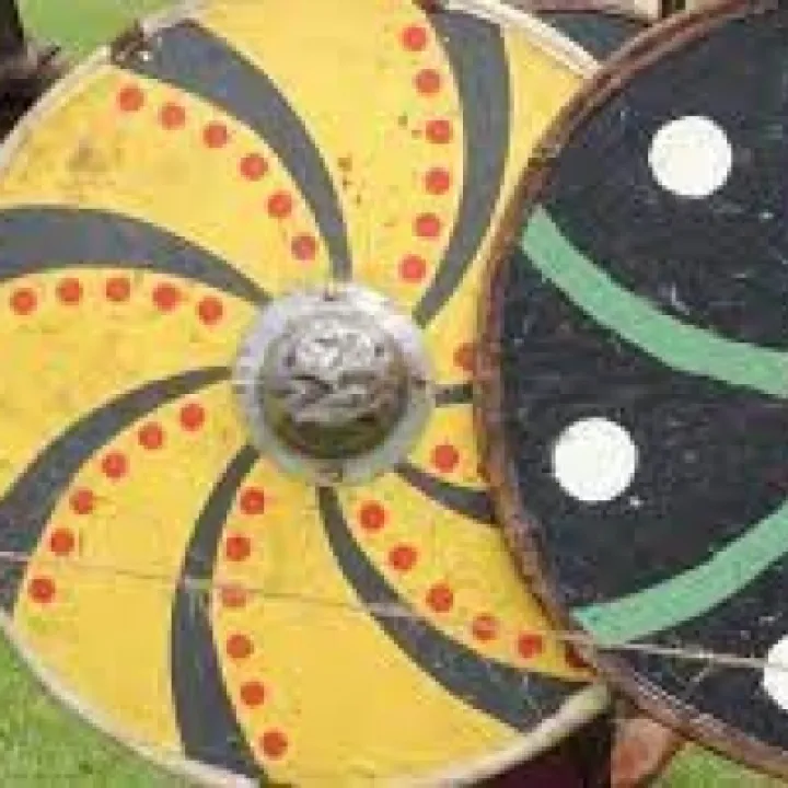 Shield