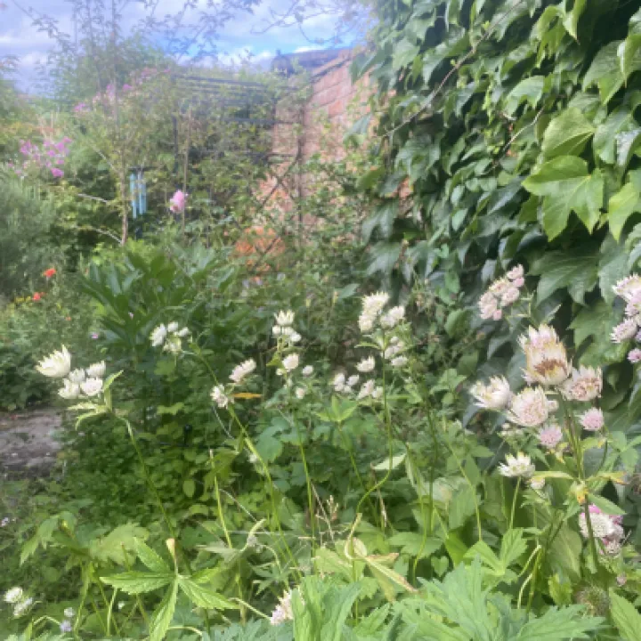 Open Garden Weekend 2