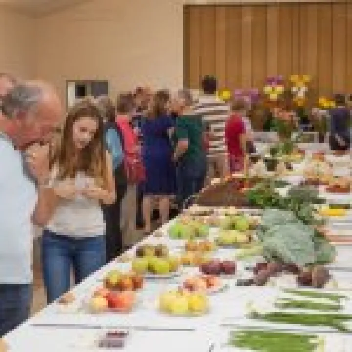 Annual Show 17