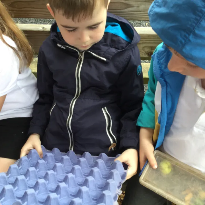 Pearl Forest school 6