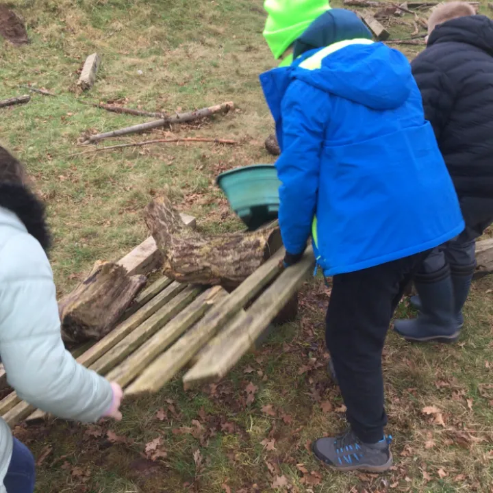 Forest school
