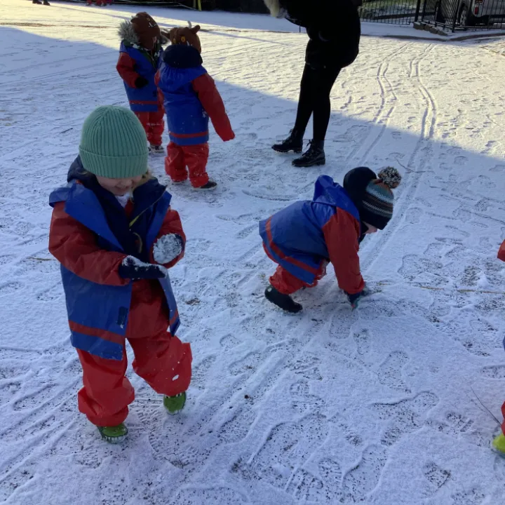 Snow 255