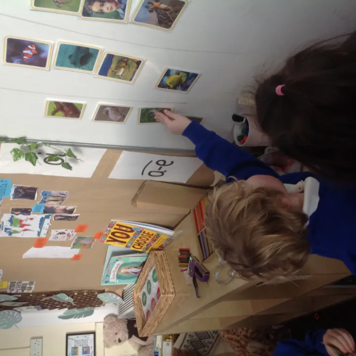 Science Sorting