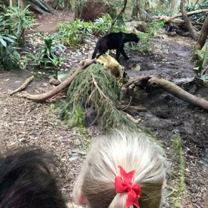 Zoo