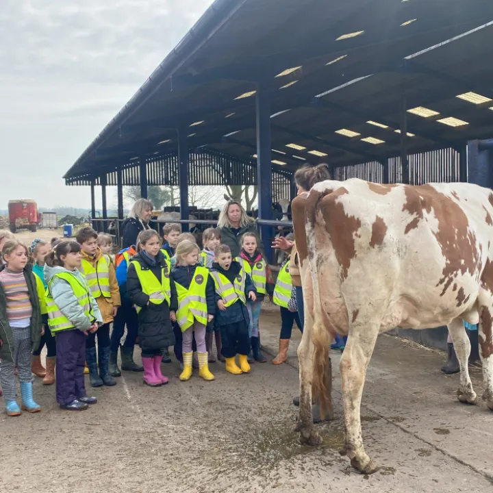 Farming trip