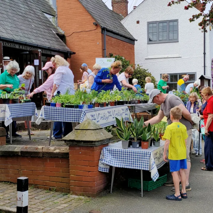 2024 Plant Sale 2