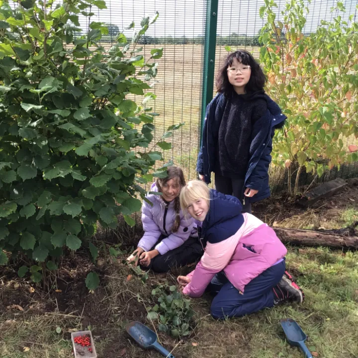 Forest School