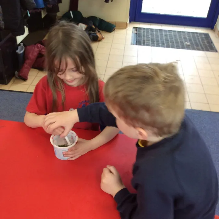 Science 5