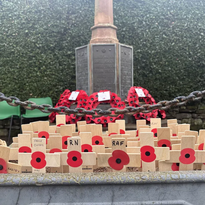Remembrance Day _6510