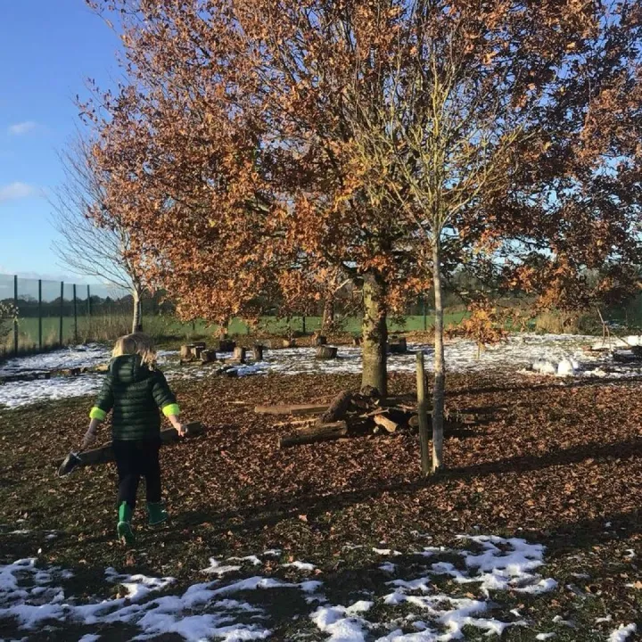 Forest school