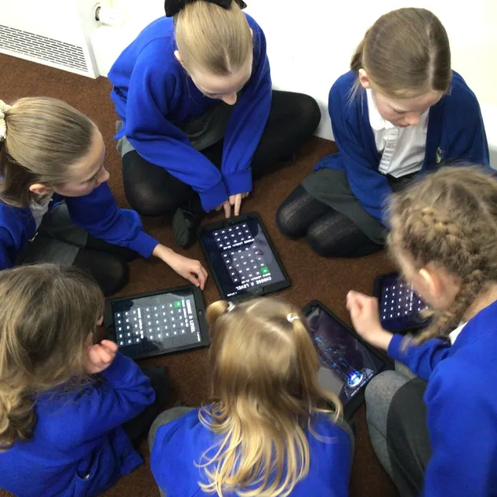 Buddy coding