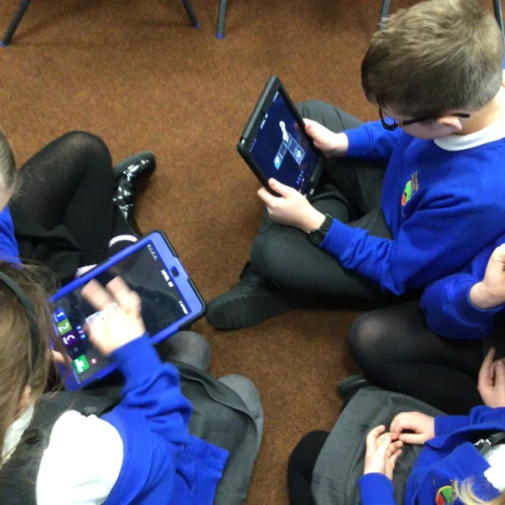 Buddy coding