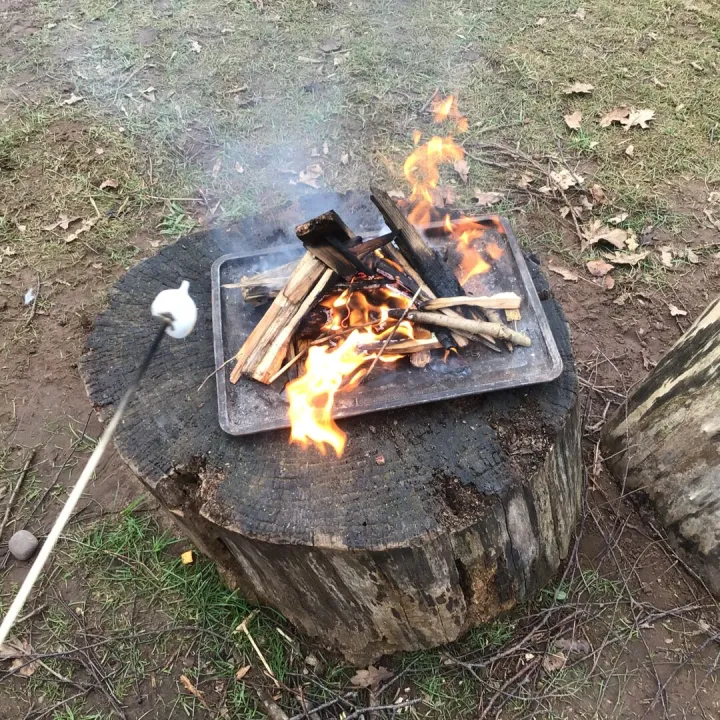 Forest schools