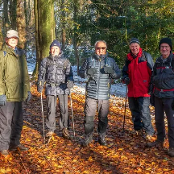 Probus woodland walk