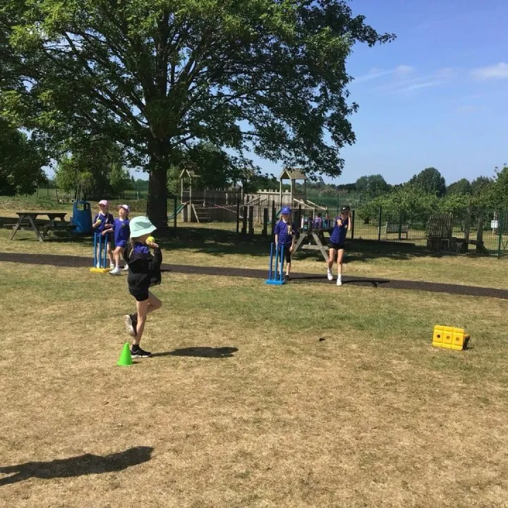 Y3 Cricket 16.5.