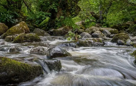 River, cumbria, landscape, nature, uk, outdoor, england, water, scene, cumbria, cumbria, cumbria, cumbria, cumbria