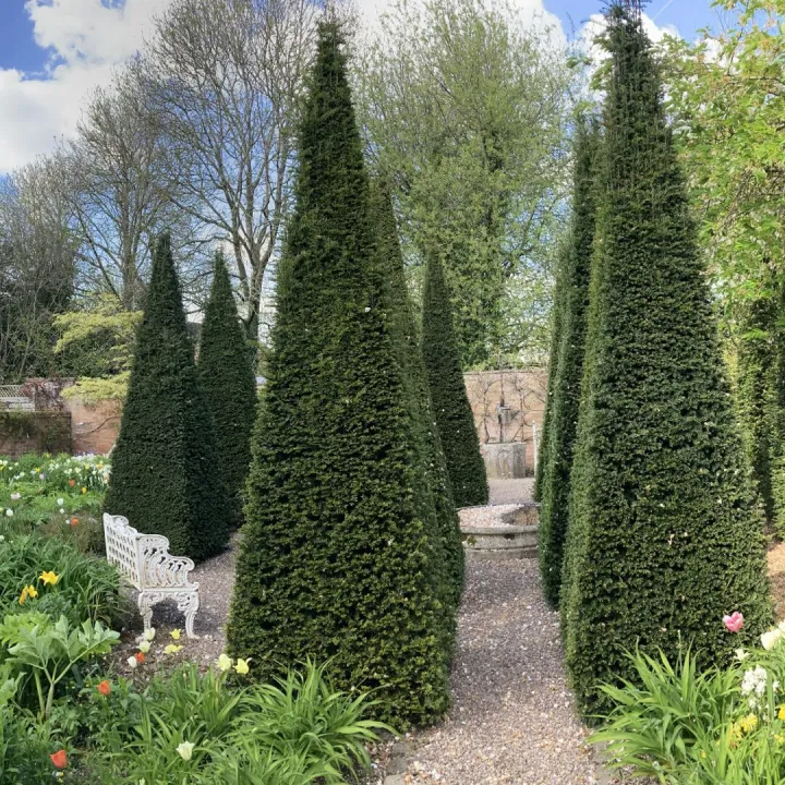 Wollerton5