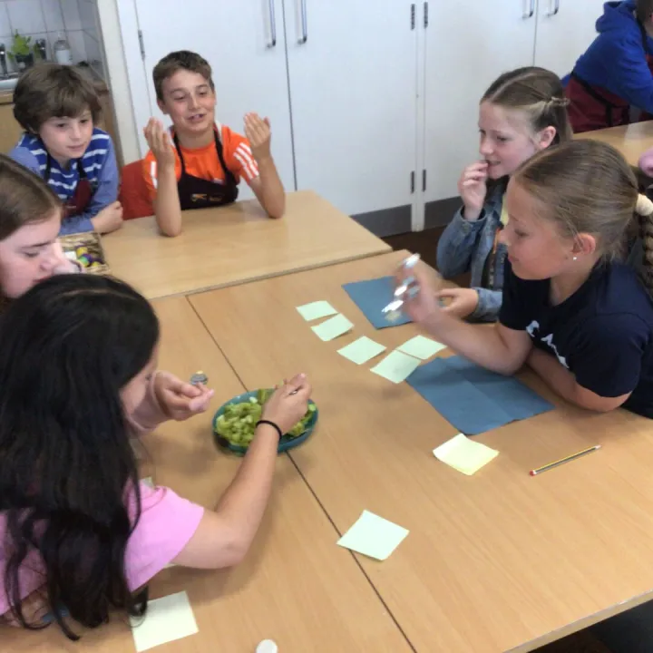 DT taste testing