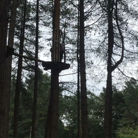 Go Ape