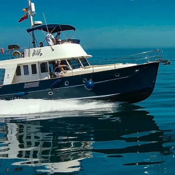 swift56